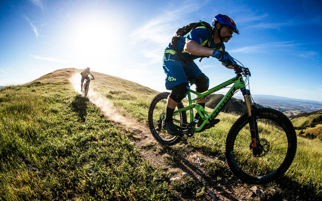 Wywiad Liga narodów