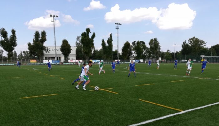 Pelikan drugi raz zwycięski