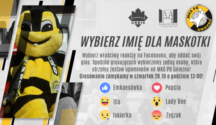 Zygzak, Popcia czy może Lady Bee?