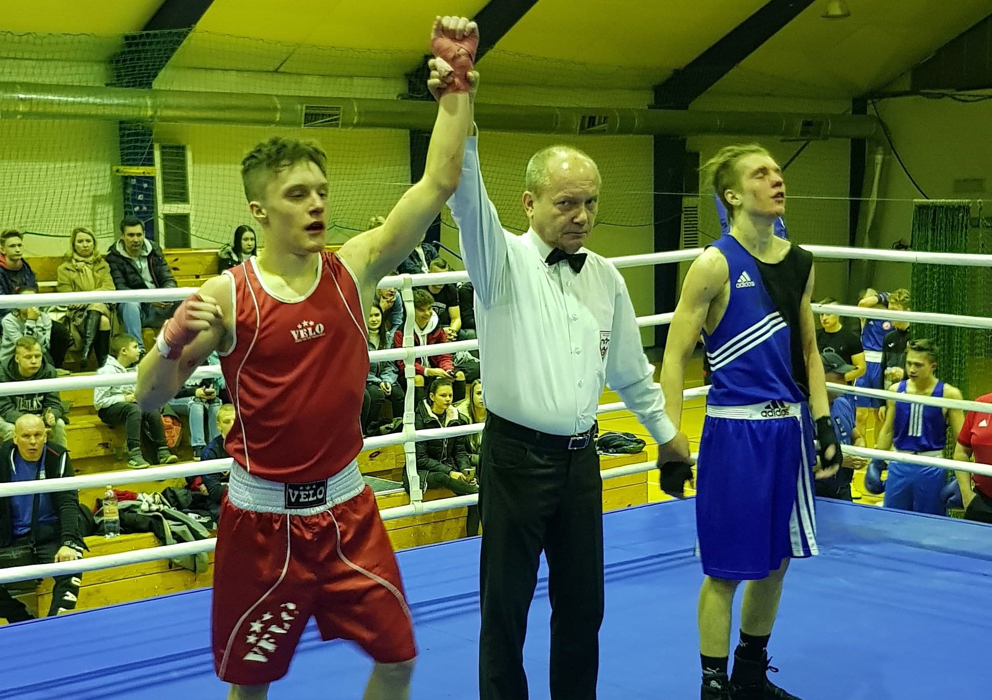 53031583_2489190021108677_6921331701490647040_n-e1551008762443