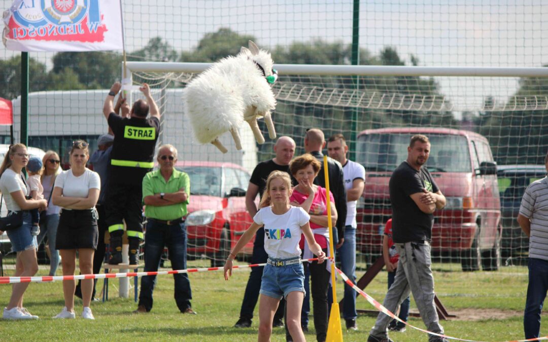 W Owieczkach znów rzucano…owcą