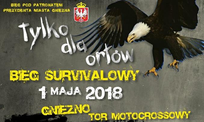 Ruszyły zapisy na bieg dla prawdziwych Orłów!