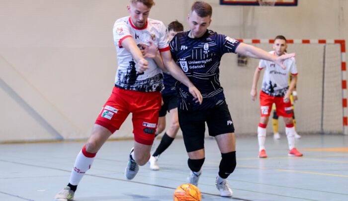 Kanonada gnieźnian nad morzem