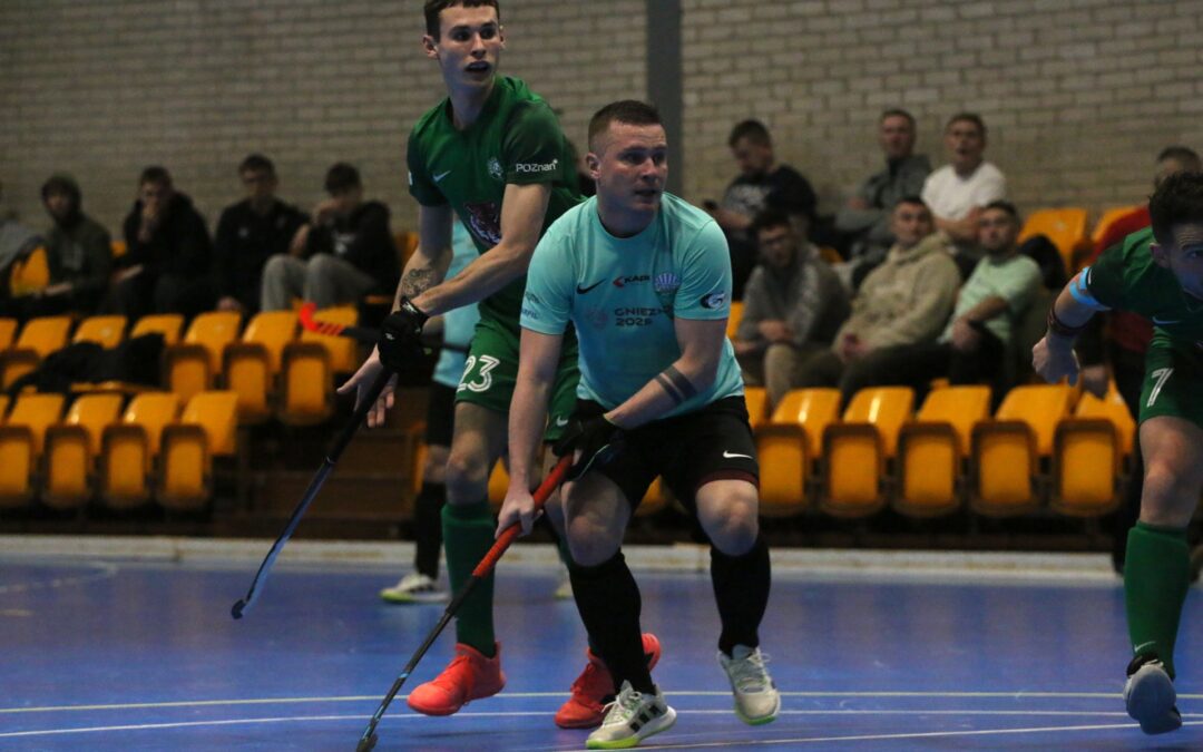 Jaki scenariusz dla Stelli po spadku?